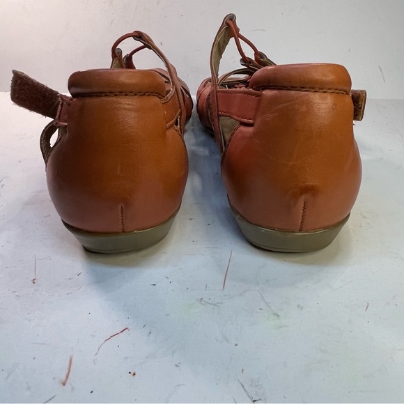 Earth Orgins 11w - Picture 10 of 13